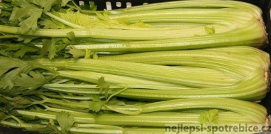 Celer řapíkatý