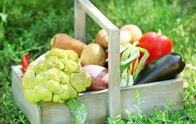 Loupat či neloupat slupku z ovoce a zeleniny?