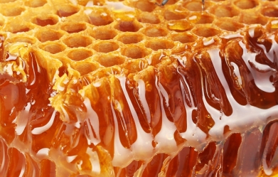 Milujete domácí včelí med? Zkuste včelařit