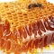 Milujete domácí včelí med? Zkuste včelařit