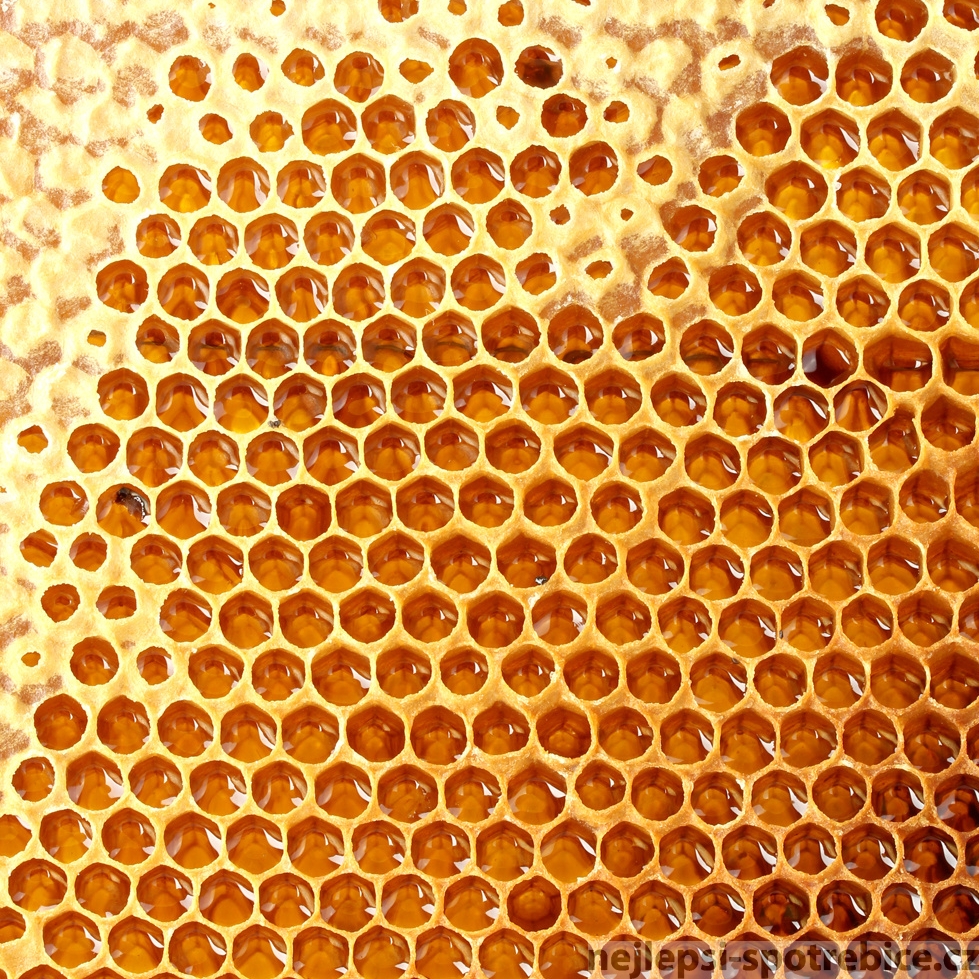 Jak pracovat s medovími plástvemi při výrobě medoviny
